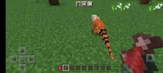 MRM Pet | V1.0.0 Iguana
