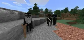 Farlanders