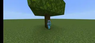 Shift Grow Up Tree