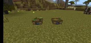 Eating Sapling