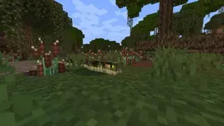 Swamp Enchants