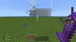 Java Skeleton