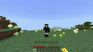 Minecraft, But I'm A Creeper