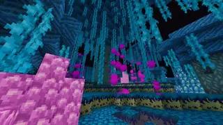 Minecraft: The End Update