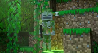 More Skeletons