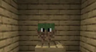 Pets Blocks