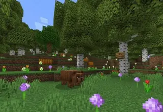 Quentin's Vanilla Additions