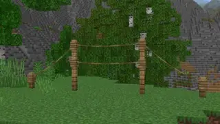 Advanced Leads