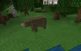 Wild Craft