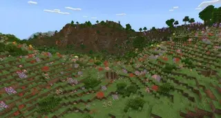 Fauna and Flora