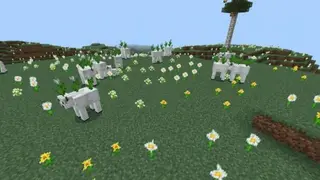 MOOblooms