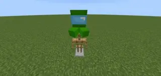 Decorative Hats