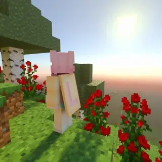 Cosmetic Mod
