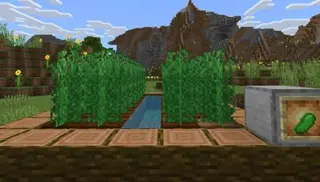 Farming Tycoon