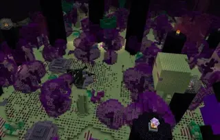 Survivalcraft End Expansion