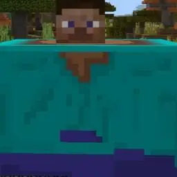 Minecraft But Fat