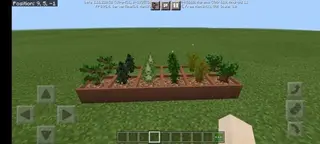 Botany Pots