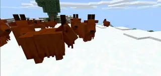 Crinkle's Goat