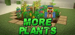 More Plants