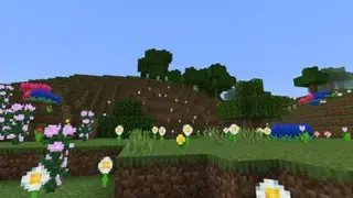Nadd Series: Nature