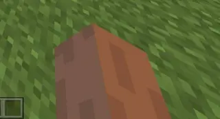 Fixed Player Animation