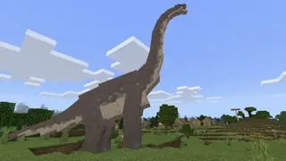 Craft Cretaceous