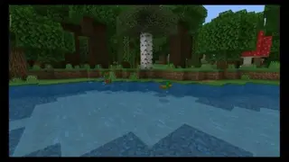 Nadd Series: Animal