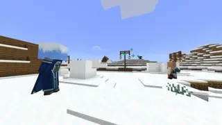 Iceologer