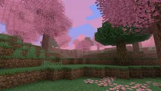 Magnificent Biomes