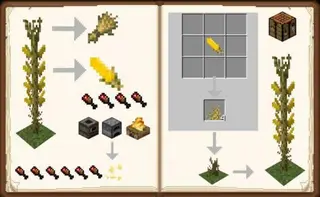 Basically Corn