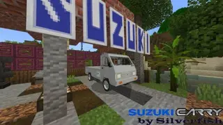 Suzuki Carry 1.0 Pick Up Car