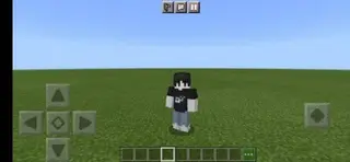 New Player Animation