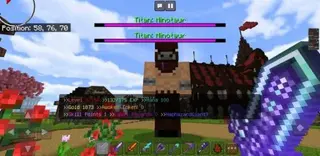 MMO Aspects