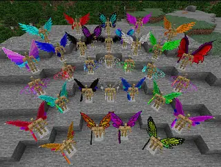 Elytra Variants