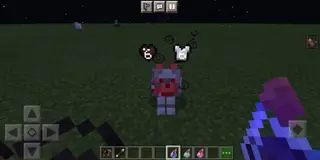 Wolf Armor & Storage