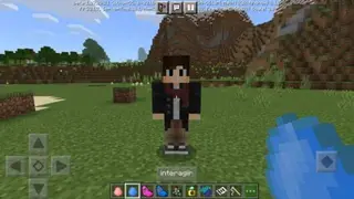 Craft Sims