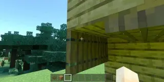 Custom Trapdoor
