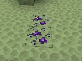 Draconic Evolution
