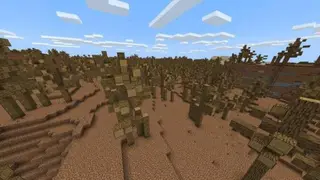 Wasteland Biome