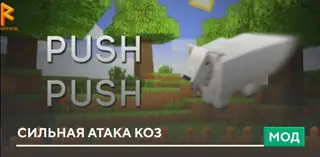 Push Push