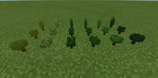 Topiary