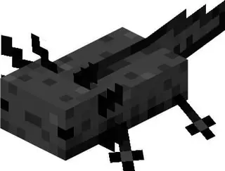 More Axolotl Variants