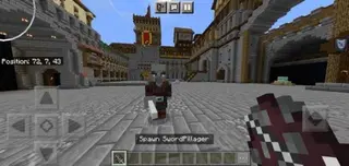 More Types Of Pillagers