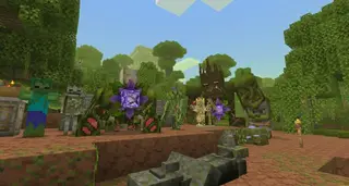 The Jungle Expansion