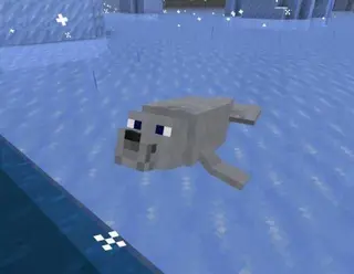 Animals Beginning With 'S'