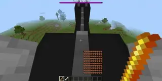 Tameable Ender Dragon