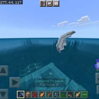 Dolphin Trainer Mod