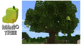 Fruitful Trees