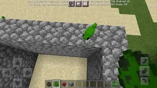 Chameleons and Roadrunners