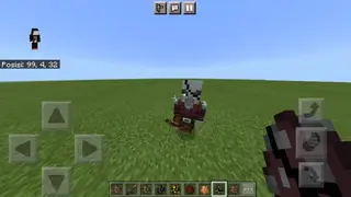 Pirate Pillages
